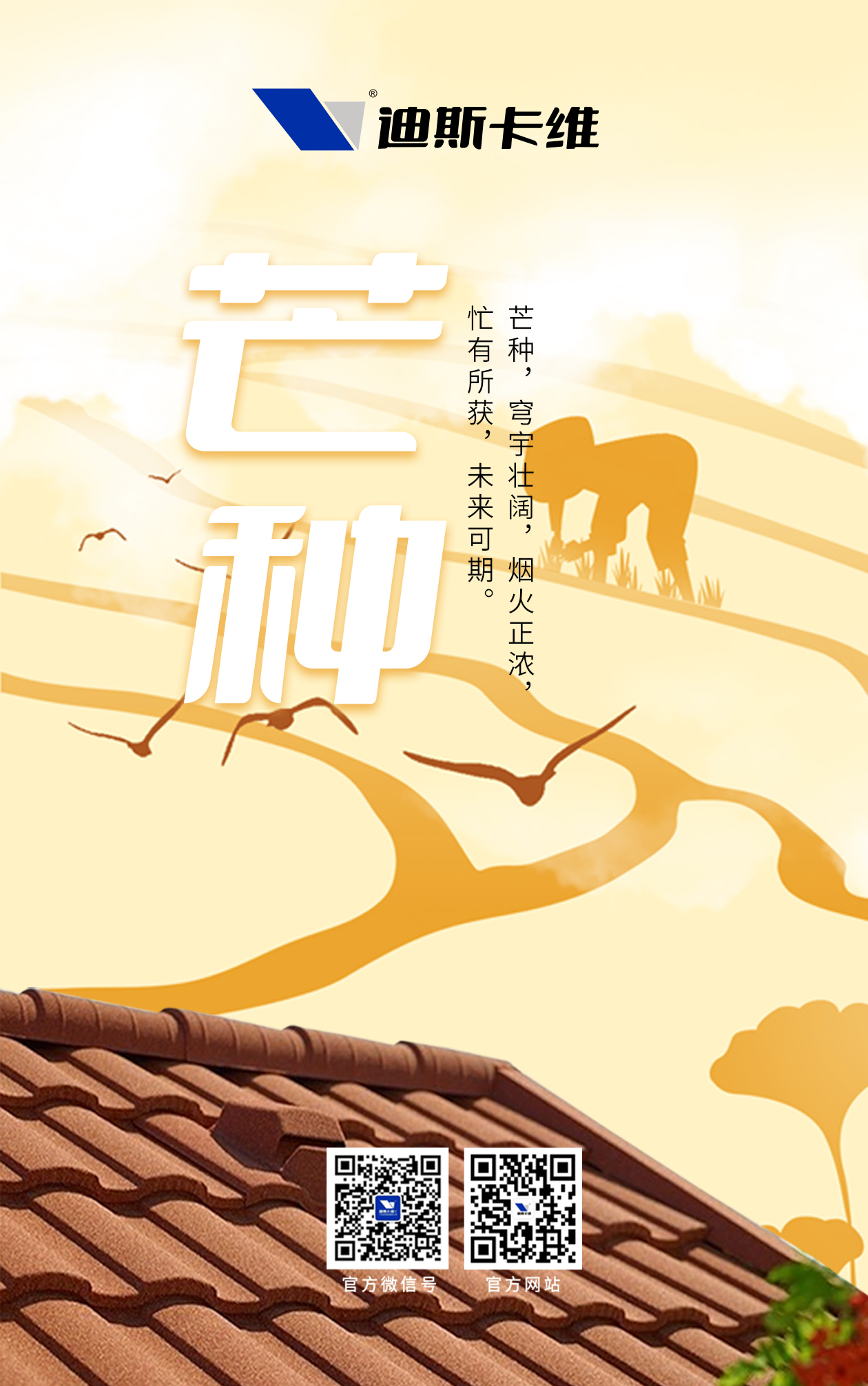 迪斯卡维-芒种.jpg